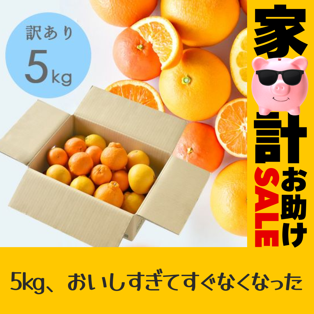 訳あり春かんきつお楽しみ箱5kg(3～4種類の春かんきつ詰め合せ)【家計お助けSALE】