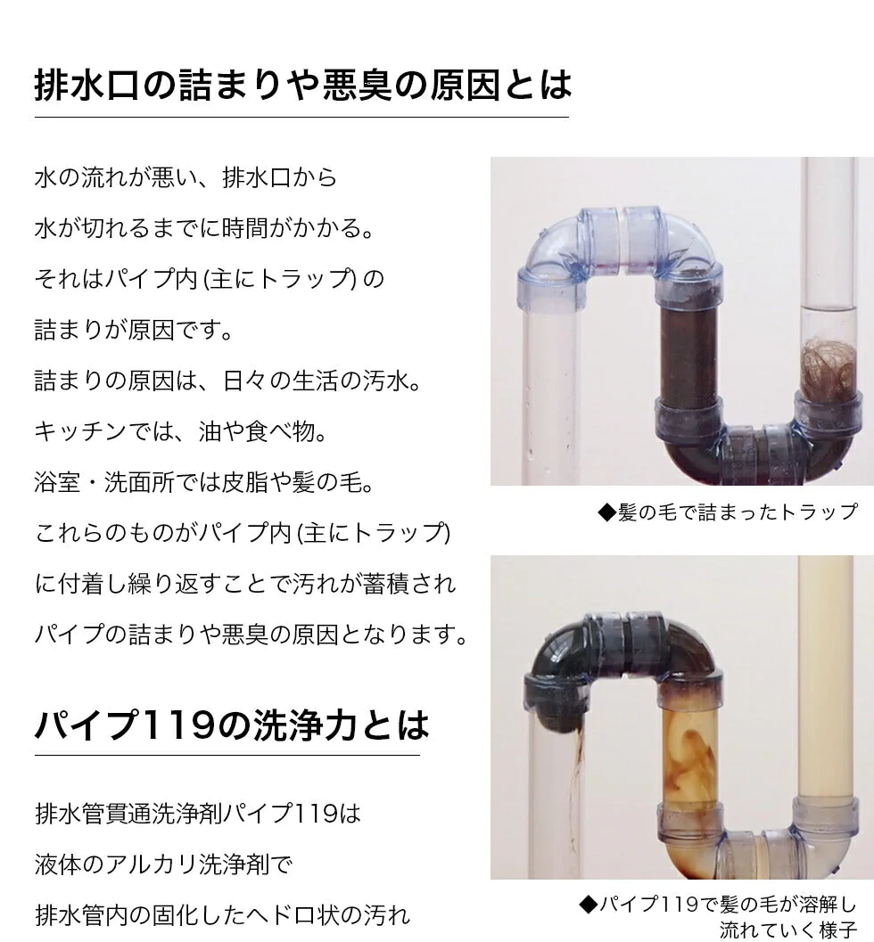 排水管 洗浄 パイプ119 500ml パイプのつまり解消 水道 洗面 お風呂 キッチン 髪の毛 つまり 強力 プロ仕様 排水 排水口 ヌメリ ぬめり