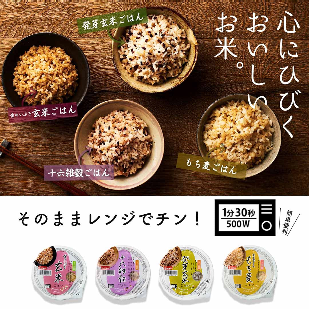 ご飯パック 発芽玄米ごはん 48個セット 160g おくさま印 お米 レトルト 食品 無添加 国産 レンジで簡単 温めるだけ ギフト 引っ越し 挨拶 出産 内祝い 母の日 父の日 お中元 お歳暮 結婚 還暦 寒中 暑中見舞い お年賀 送料無料
