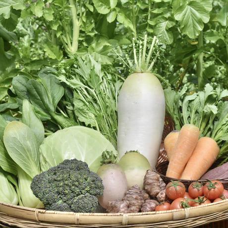 旬のお野菜セット8種類入り(Mサイズ)