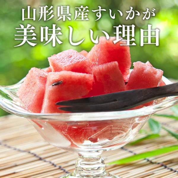 順次出荷中 秀品 ギフト 山形県産尾花沢すいか 1玉(約5kg) wm11