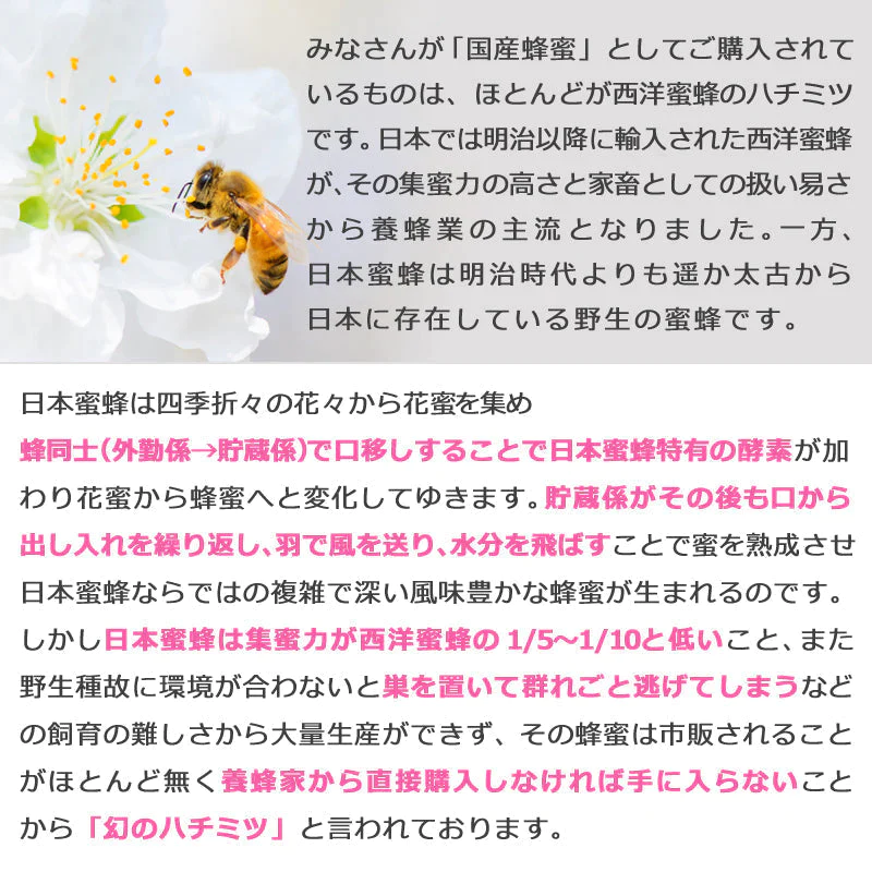 【産地直送】日本ミツバチの蜂蜜 200g