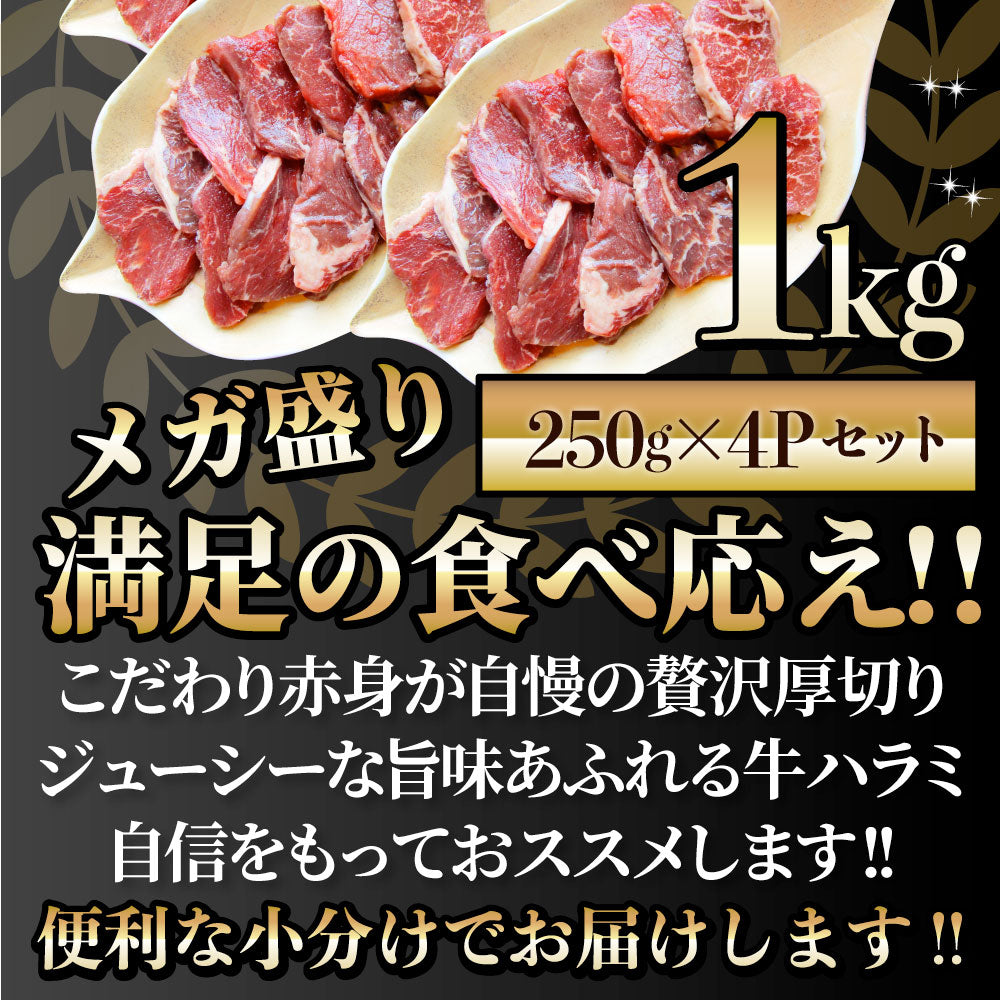 牛 ハラミ 焼肉（サガリ）1kg（250g×4P）牛肉 メガ盛り
