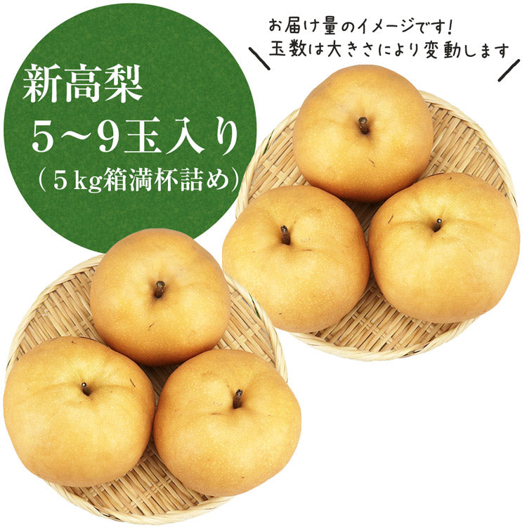 【20人シェア買いでお得】【10月中旬～11月上旬発送】新高梨 超大玉 5?9玉 新潟県産 5kg箱満杯詰め 梨の王様 和梨 にいたか なし 産地直送 産直 常温便 同梱不可 指定日不可