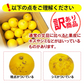 【 送料無料 】 大玉 限定 土佐 文旦 ★ 訳あり 土佐文旦（ 露地 ） 10kg サイズ(価値ある・3L／4L(大玉)限定) わけあり 訳アリ フルーツ 【ご家庭用】(北海道・沖縄は別当送料が必要です) 文旦 母の日 ギフト 花以外