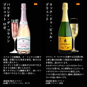 厳選 金賞入り 高品質 全部 辛口 スパークリング ワイン 12本 飲み比べ セット ［常温］ 【送料無料】 [W][S] 泡 イタリア スペイン シャンパン製法 瓶内二次発酵 カヴァ スプマンテ オーガニック 入り ギフト おすすめ 飲み比べ【エコ得】