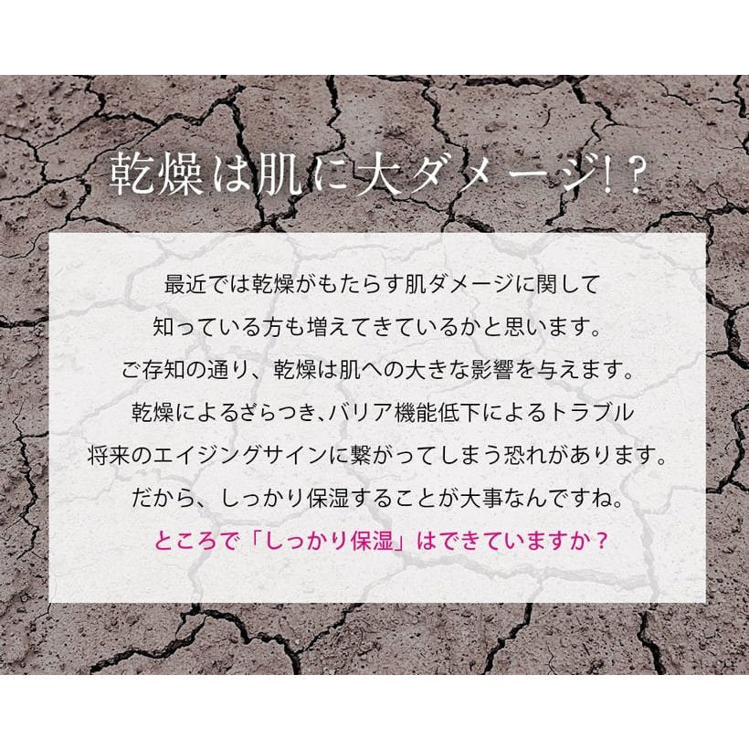 【美ルル ウルミスト】1年間保証フェイシャルスチーマー プレゼント ギフト 加湿器 微粒子ミスト 保湿 乾燥 ミスト スチーム スチーマー フェイス 美容 美顔器 フェイススチーマー