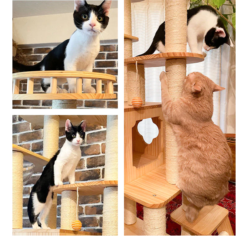 ねこぞく 木製 キャット ツインタワー XYY-1