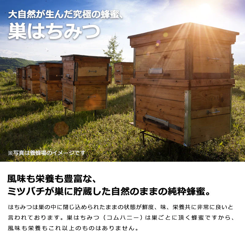 【産地直送】日本ミツバチの巣蜜 約100g