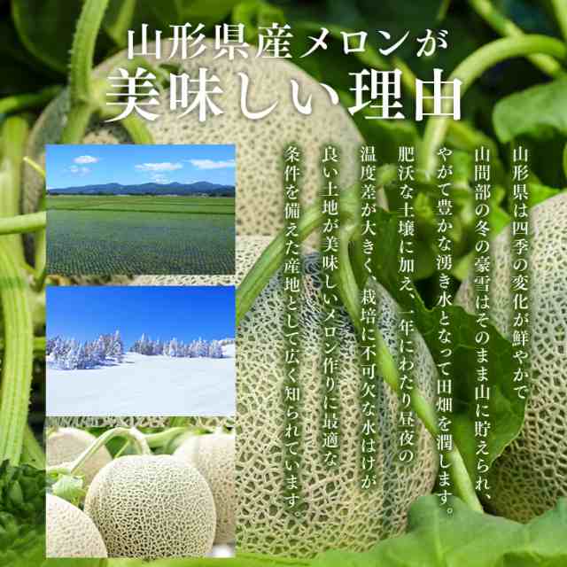 【7月上旬より順次出荷】訳あり 山形県庄内産メロン 約4〜5kg(3〜7玉) ※一部地域は別途送料追加　d1