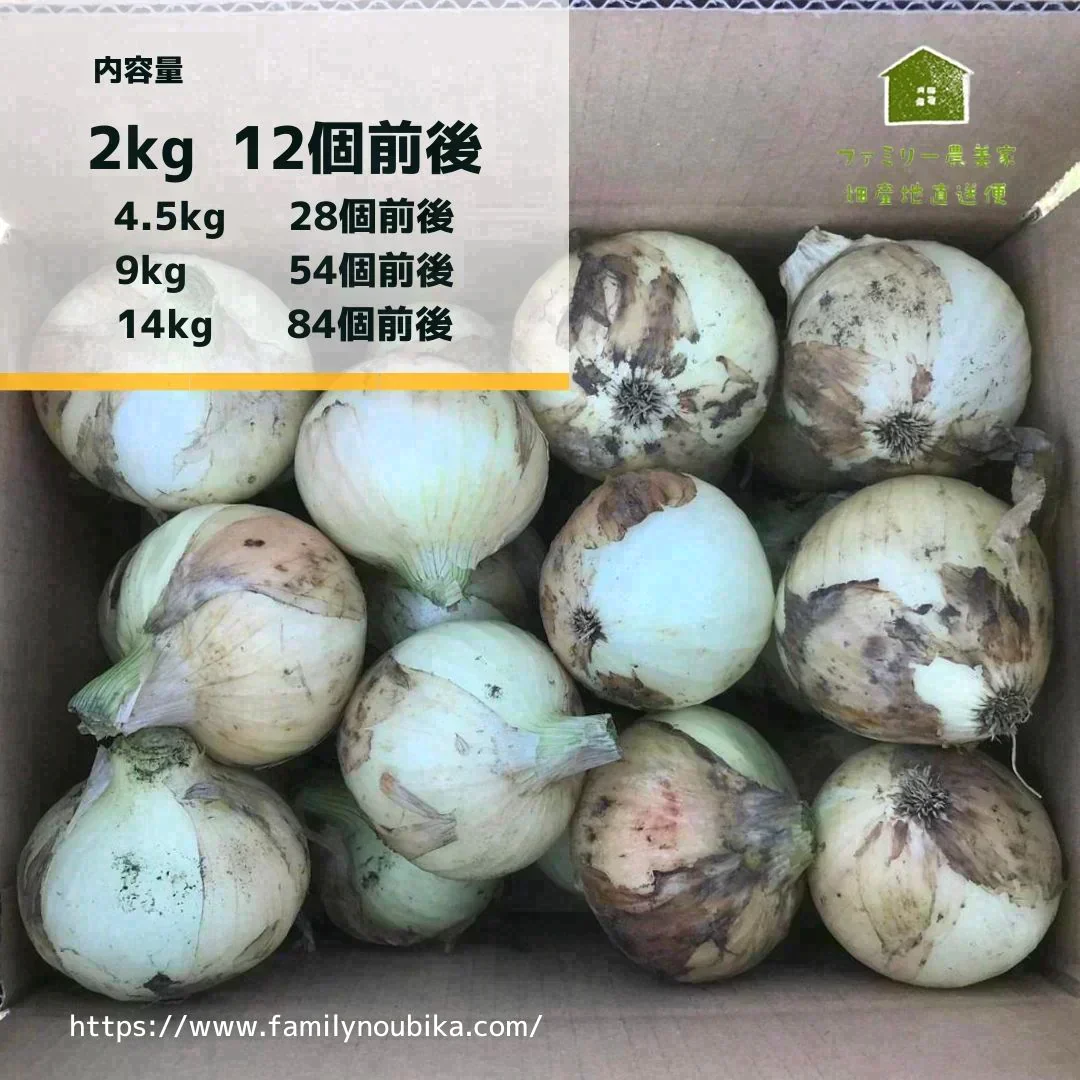 【農家直送！】鹿児島産 -甘塩新玉ねぎ-（2kg,12個前後）採れたて新鮮！ / 野菜 / タマネギ / カレー / 炒め物 / サラダ / 新鮮 / 農産物 / 無農薬 /【特産品・ご当地特集】