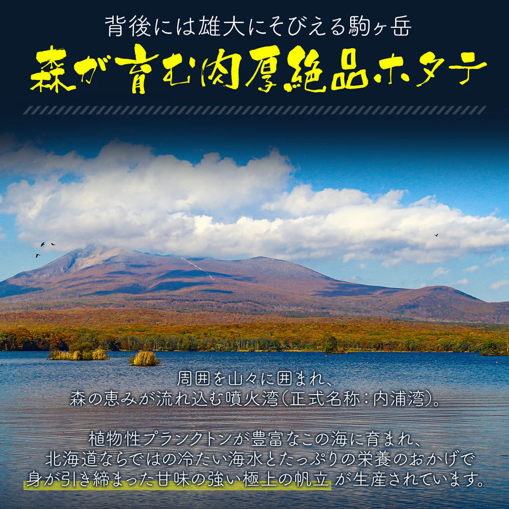 ベビーほたて 1kg 帆立 北海道産 噴火湾で獲れる一級品 100～200粒入り ボイルホタテ ベビーホタテホタテ ベビー帆立 送料無料