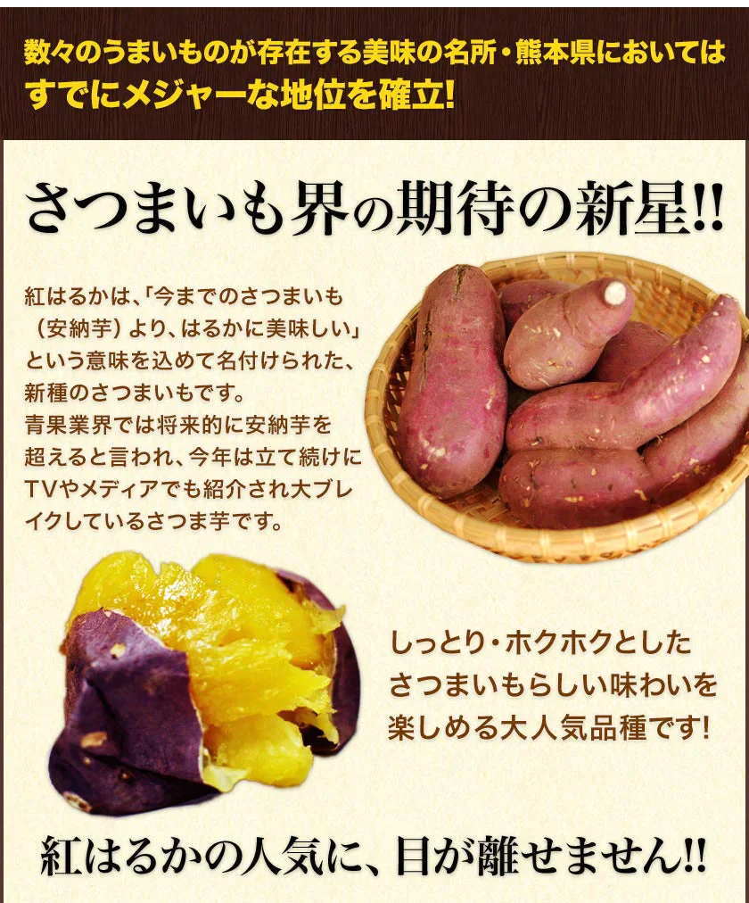 さつまいも 熊本県産 訳あり 紅はるか べにはるか 1kg 送料無料 ※大中小サイズ混合(不選別 ) 焼き芋 さつま芋 薩摩芋《3-7営業日以内に出荷予定(土日祝除く)》【ゲリラセール】