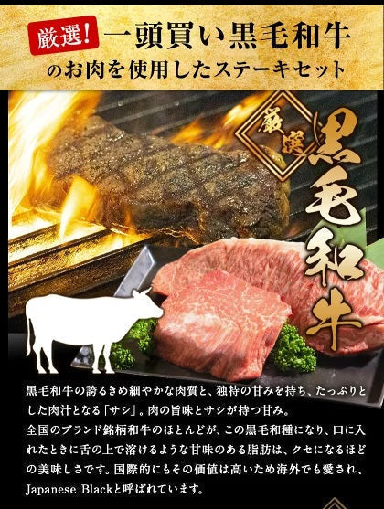 九州産黒毛和牛 厳選ステーキセット ヒレ200g サーロイン300g ステーキ肉 食べ比べ まとめ買いフードロス 食品ロス 削減支援 送料無料
