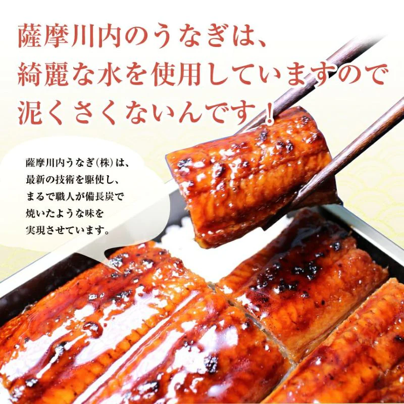 185g～215gｘ10本 特大うなぎ蒲焼 九州産