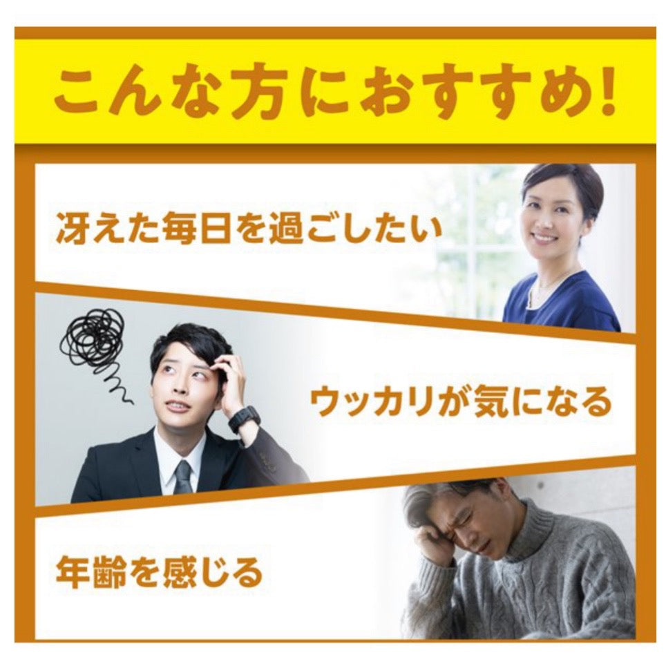 【おまけ付き！】DHC ディーエイチシー イチョウ葉 脳内アルファ 20日分 サプリメント