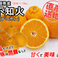 不知火 (デコポン) 訳あり 10kg 送料無料 ご家庭用 箱買い サイズミックス みかん 柑橘 フルーツ 果物 産地直送 愛媛県産 YDF-012