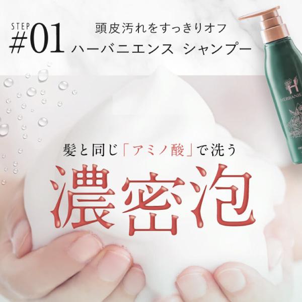 さくらの森【公式】 送料無料 ハーバニエンス シャンプー コンディショナー グリーンローズ ノンシリコン アミノ酸 頭皮ケア 美容室専売 無添加 アミノ酸 ボタニカル くせ毛 低刺激 美容室