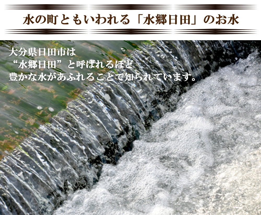 【最安値挑戦祭】にんにく ニンニク 乾燥にんにく 1kg バラ大粒 ガーリック 産地直送 国産 大分県日田産