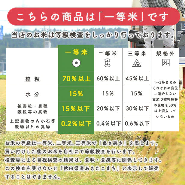 【無洗米20kg】秋田県産 あきたこまち20kg（５kg×4袋 ）令和4年産 一等米  米びつ当番【天鷹唐辛子】プレゼント付き【ゲリラセール】