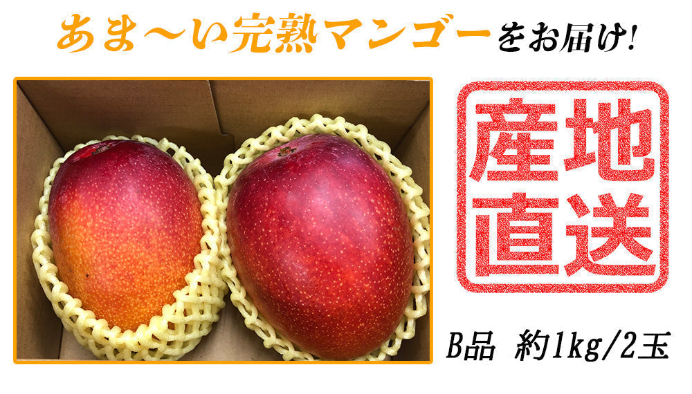 【予約販売 7月20日より順次出荷】マンゴー 訳あり 1kg 2玉 送料無料 完熟マンゴー フルーツ くだもの 果物 家庭用 産地直送 鹿児島県産 ngs-000