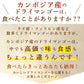 おひさま 王国ドライマンゴー450g