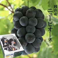 【3人シェア買いでお得】送料無料 岡山産 ピオーネ 2キロ 訳あり 3-4房入 ぶどう プレゼント お祝い ギフト
