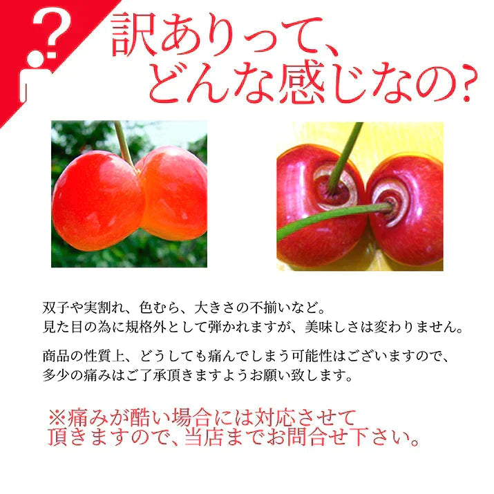 【6月下旬発送】 さくらんぼ 1kg お徳用 佐藤錦 or 紅秀峰 他 山形県産 バラ詰めお一人様2箱まで 家庭用 数量限定 産地直送 訳あり サイズ混合 送料無料 ※遠方へは別途送料がかかります 品種の指定はできません 果物 大特価【エコ得SALE】
