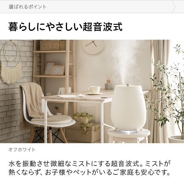 （ミストグレー）本体＋除菌ウォーターセット　超音波式加湿器【1年保証】