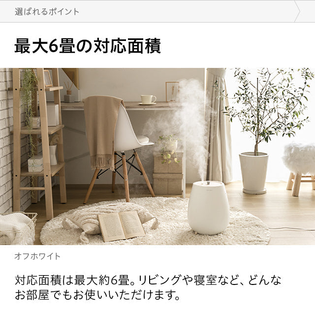 （ミストグレー）本体＋除菌ウォーターセット　超音波式加湿器【1年保証】