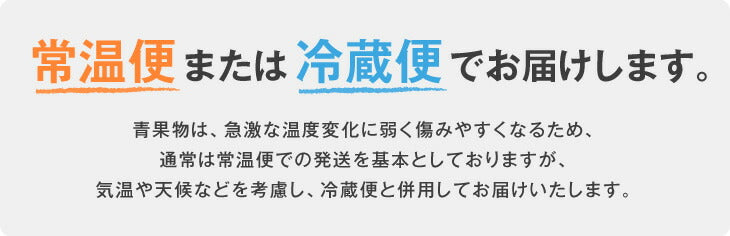 すいか 送料無料 山形県産黒皮小玉すいか 2玉入【送料無料】※一部地域は別途送料 果物 フルーツ【A品】【お中元】【ギフト】【のし対応】e2