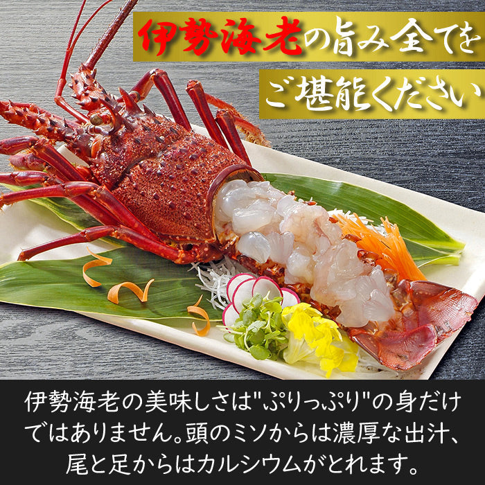 即席みそ汁 伊勢海老の味噌汁 約50食 粉末(フリーズドライ 生味噌 ではありません) インスタント いせえび イセエビ 伊勢エビ 送料無料