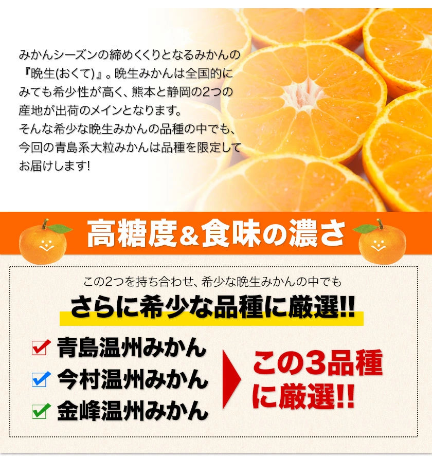 【ご新規さんとシェア買い】大粒 みかん 訳あり 1.5kg 熊本 送料無料 フルーツ 訳ありみかん 5kg以下 10kg以下 大玉 家庭用 果物 柑橘 食品 蜜柑 フルーツ 果物
