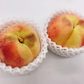【訳あり大特価】桃 約6kg(20〜30玉) 山梨県産 家庭用【予約/6月中旬〜9月上旬順次出荷】