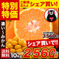【シェア買いで1,000円OFF!!】大粒 みかん 訳あり 10kg 熊本 送料無料 フルーツ 訳ありみかん 大玉 家庭用 果物 柑橘 箱買い たっぷり10キロ《2月上旬-2月末旬頃より発送予定》