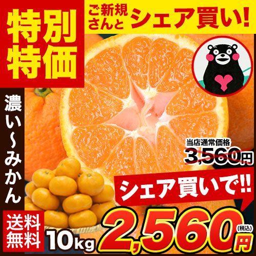 【シェア買いで1,000円OFF!!】大粒 みかん 訳あり 10kg 熊本 送料無料 フルーツ 訳ありみかん 大玉 家庭用 果物 柑橘 箱買い たっぷり10キロ《2月上旬-2月末旬頃より発送予定》