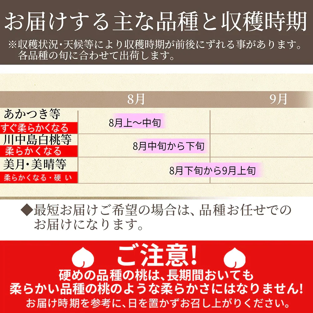 【8月上旬発送】 山形県産 白桃 3kg（約9～11玉前後） 秀品 産地直送の桃 あかつき お供え 川中島白桃 贈答用 ギフト 硬い桃 美晴 クール便発送・同梱不可 日時指定不可 送料無料 果物 フルーツ【エコ得SALE】