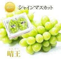 送料無料 岡山産 シャインマスカット 晴王 青秀2房 800-900g ぶどう ギフト お供え プレゼント 贈り物 お土産