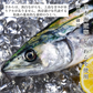 無添加 天然 無塩 さわら 切り身 30g×20切 魚 骨取り 骨なし 冷凍 解凍せずにそのまま使える 便利なひとくちサイズ 骨抜き 魚切り身 お弁当 弁当 塩焼き 竜田揚げ 鰆【C配送：冷凍】