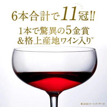 合計11冠 格上産地入り すべて 金賞ボルドー 赤ワイン 6本 飲み比べ セット［常温］【3〜4営業日以内に出荷】【送料無料】[W]  it-0000032987