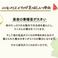 【予約販売7月下旬より順次出荷】尾花沢スイカ １玉 山形県産 4L 5L スイカ すいか 送料無料 ギフト お取り寄せ 産地直送  kkb-008