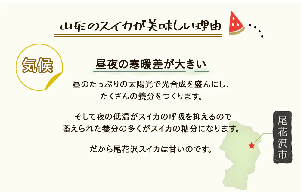 【予約販売7月下旬より順次出荷】尾花沢スイカ １玉 山形県産 4L 5L スイカ すいか 送料無料 ギフト お取り寄せ 産地直送  kkb-008