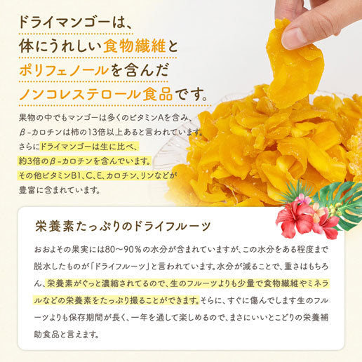 【最安値挑戦祭】500g 半生ドライマンゴー ドライフルーツ 訳あり 果実酢作りにおすすめ 不揃い セブ島 送料無料