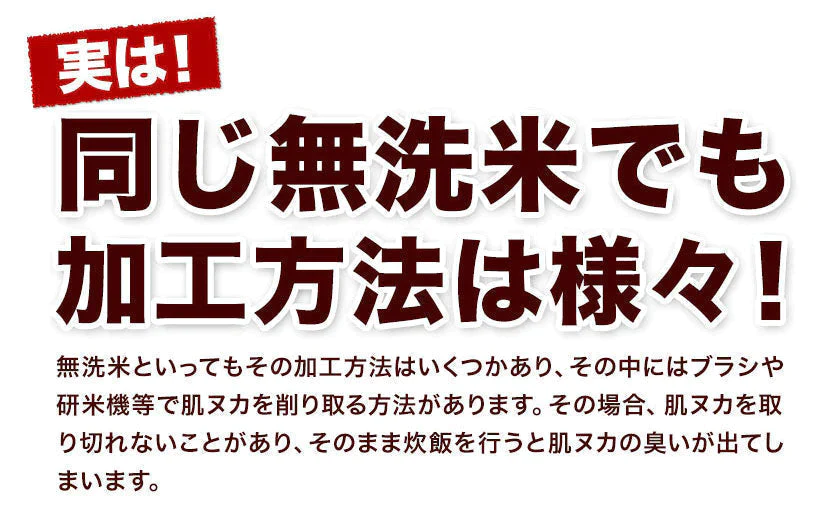 【ご新規さんとシェア買い】無洗米 10kg (5kg ×2袋) 熊本県産 令和4年産 ひのひかり 6割使用 コメ 精米 白米 熊本ふるさと無洗米【リピート】《7-14営業以内に出荷予定(土日祝日除く)》