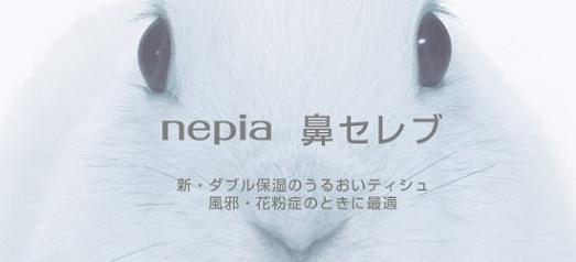 【無料でエントリー・1年8ヶ月分】王子ネピア　鼻セレブティシュ　400枚（200組）3箱パック×10パック入り【抽選で当たる】