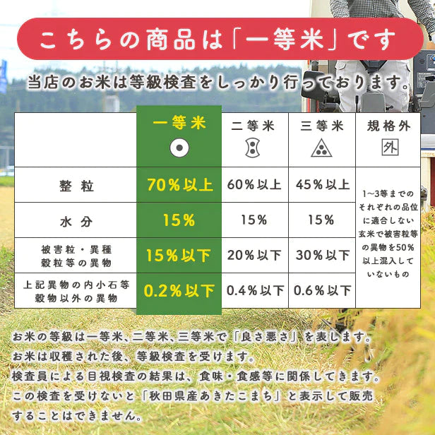 【精米】秋田県産 ひとめぼれ 5kg厳選 1等米 米びつ当番【天鷹唐辛子】プレゼント付【ゲリラセール】