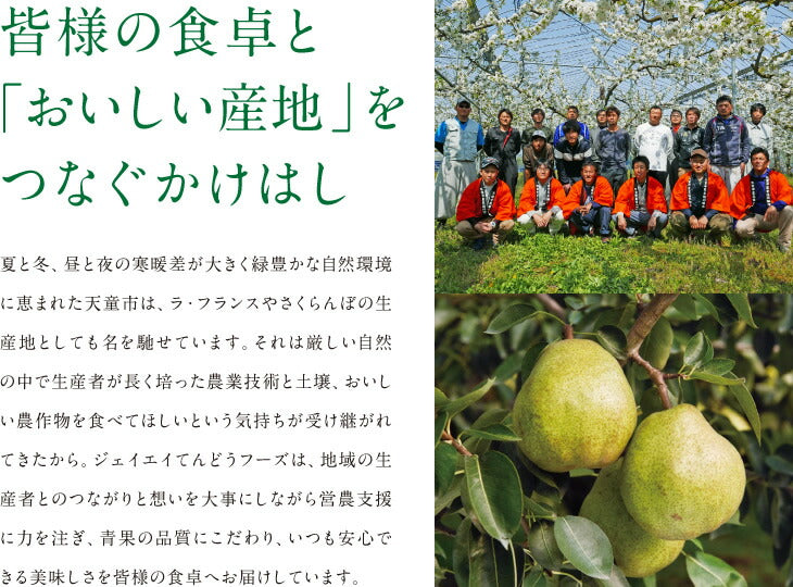 りんご 訳あり 10kg 送料無料 青森県産 サンふじ 約10kg玉数おまかせ) バラ詰め ※一部地域は別途送料追加 フルーツ 果物 果物 順次出荷 ap13