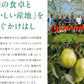 糖度保証 訳あり サンふじ 5kg 送料無料 山形県産 りんご (玉数おまかせ) バラ詰め ※一部地域は別途送料追加 フルーツ 果物 サンふじ 果物 順次出荷 ap38