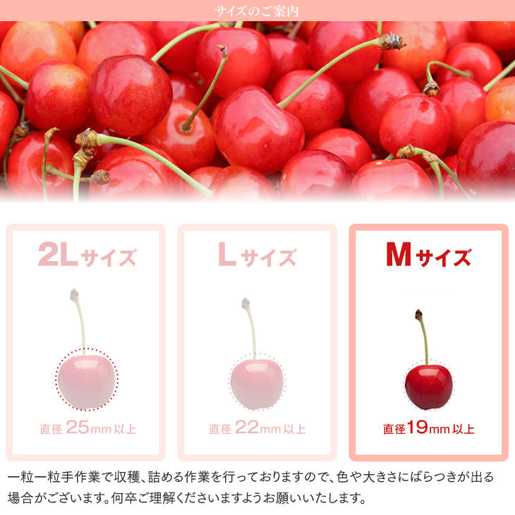 完売御礼】【ゲリラセール】予約商品 さくらんぼ 佐藤錦 ご家庭用 約 