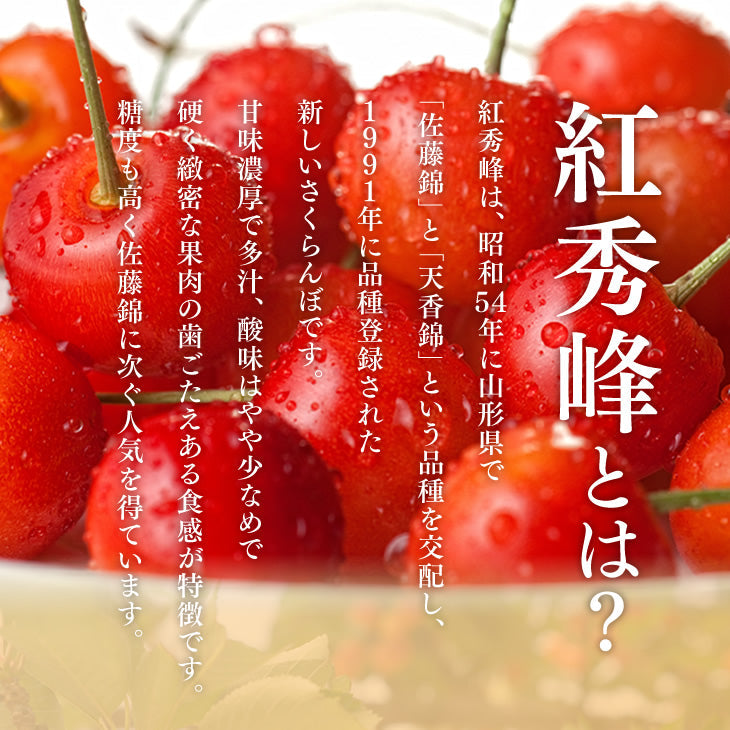 早期予約 さくらんぼ 紅秀峰 ご家庭用 山形県産さくらんぼ（紅秀峰）約１kgバラ詰め